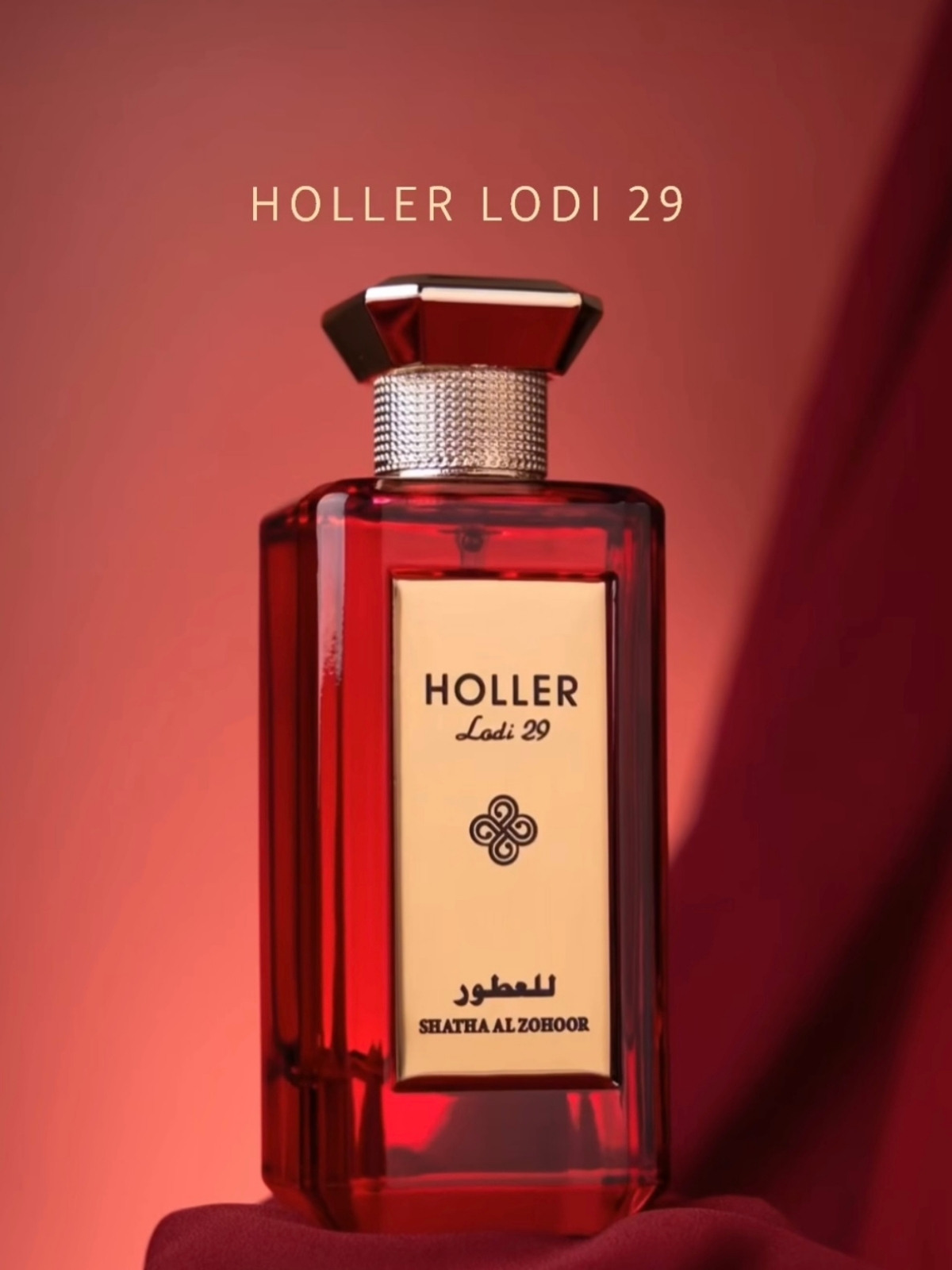 Holler lodi 29