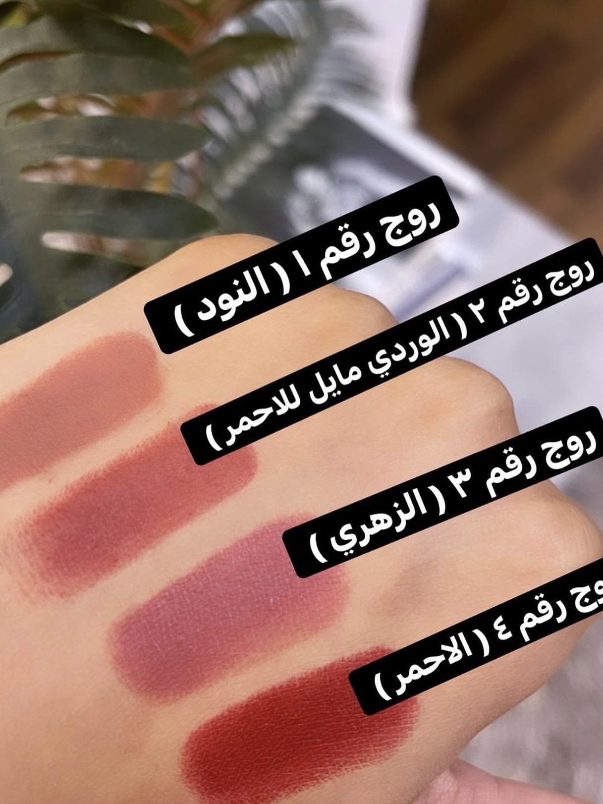 Lipliner &Lipstick Box